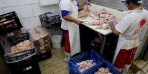 Início do Prazo de 28 Dias para o Brasil se Livrar da Gripe Aviária