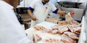 Gripe Aviária: Países Retiram Restrições à Importação de Carne Brasileira