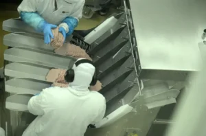 Marfrig e BRF Formam Gigante no Setor de Carnes após Fusão