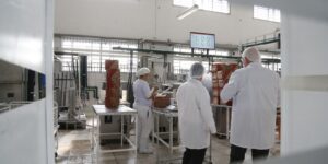 País Recebe R$1,3 Bilhão de Fundos Internacionais para Descarbonização da Indústria