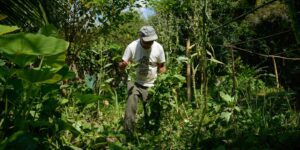 Edital Abre Seleção para 36 Projetos de Fortalecimento da Agricultura Familiar