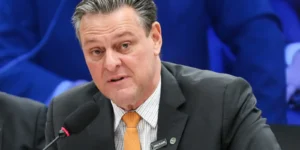 Ministro afirma que gripe aviária não impactará preços da carne de frango